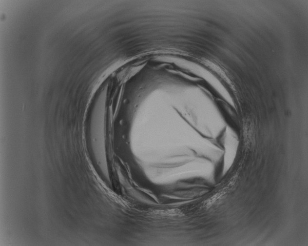 X0000062651133200601111145