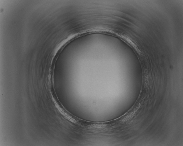 X0000062651134200601111145