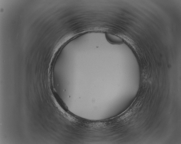 X0000062651135200601111145