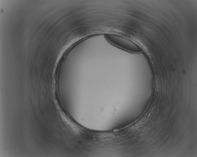 X0000062651136200601111145