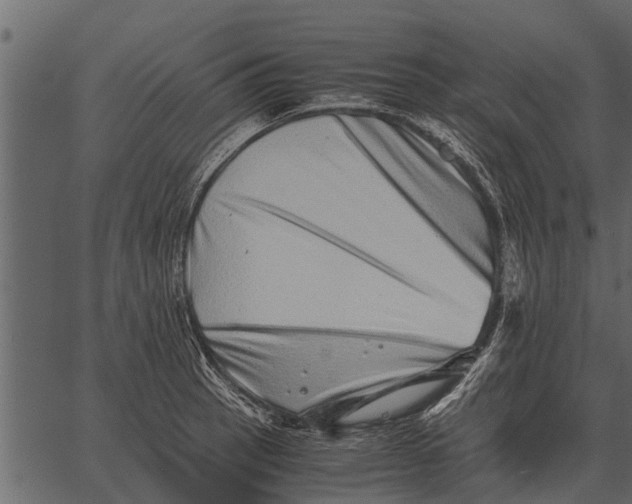 X0000062651137200601111145