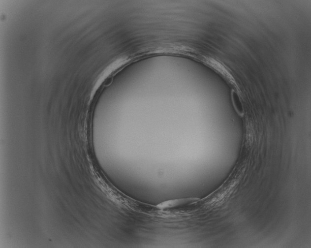 X0000062651138200601111145