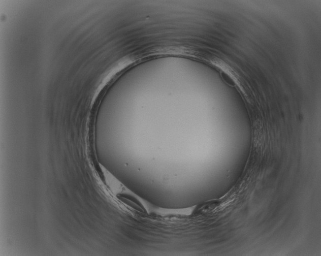 X0000062651139200601111145