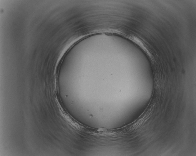 X0000062651140200601111145