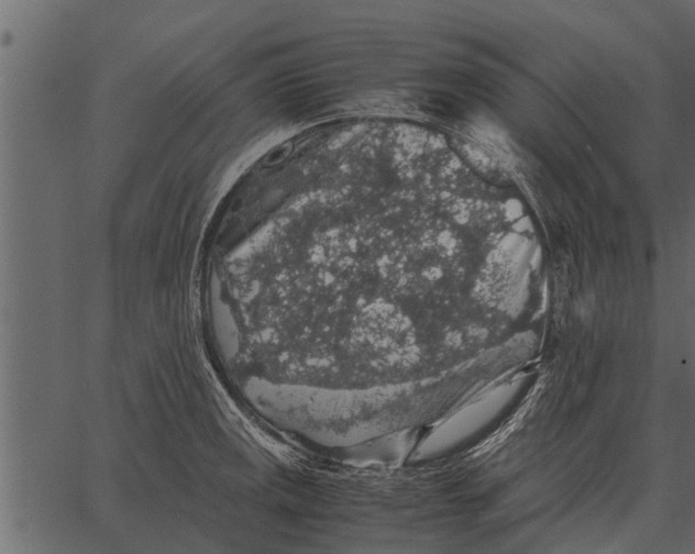 X0000062651141200601111145