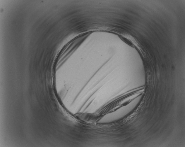 X0000062651143200601111145