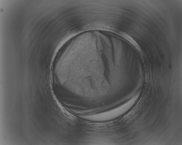 X0000062651144200601111145