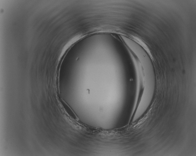 X0000062651146200601111145