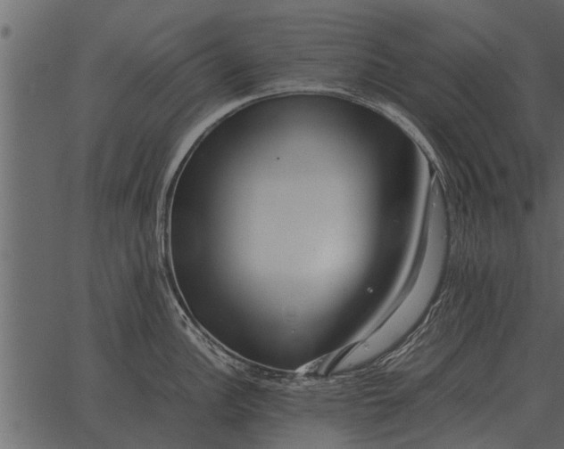 X0000062651148200601111145