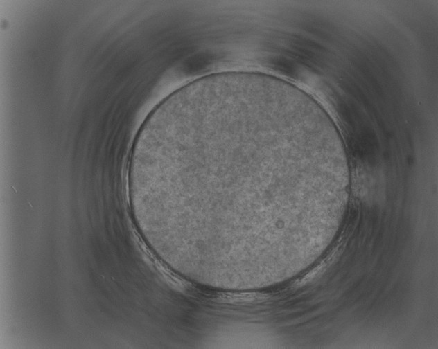 X0000062651150200601111145