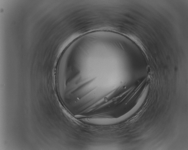 X0000062651151200601111145