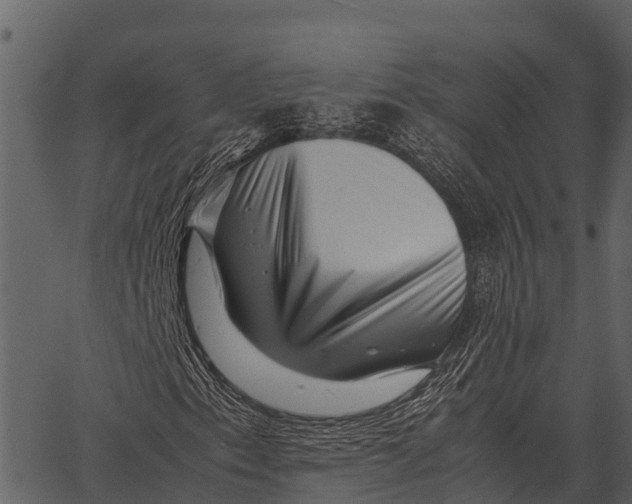 X0000062651153200601111144