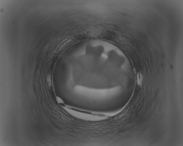 X0000062651155200601111144