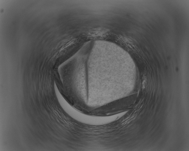 X0000062651156200601111144