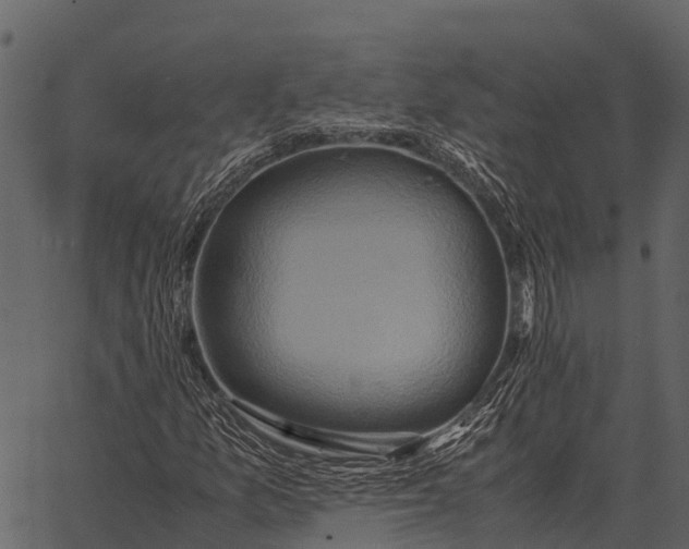 X0000062651157200601111144