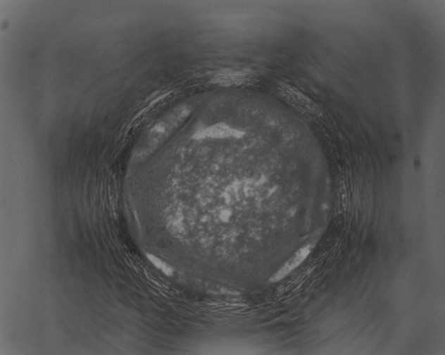 X0000062651158200601111144