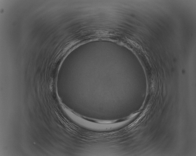 X0000062651161200601111144