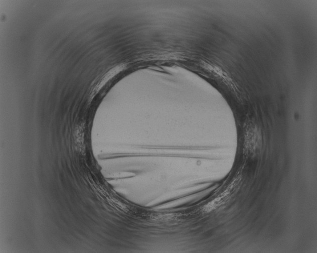 X0000062651162200601111144