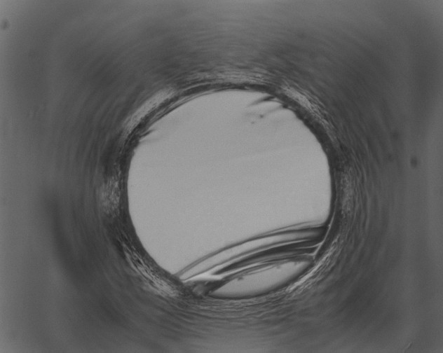 X0000062651163200601111144