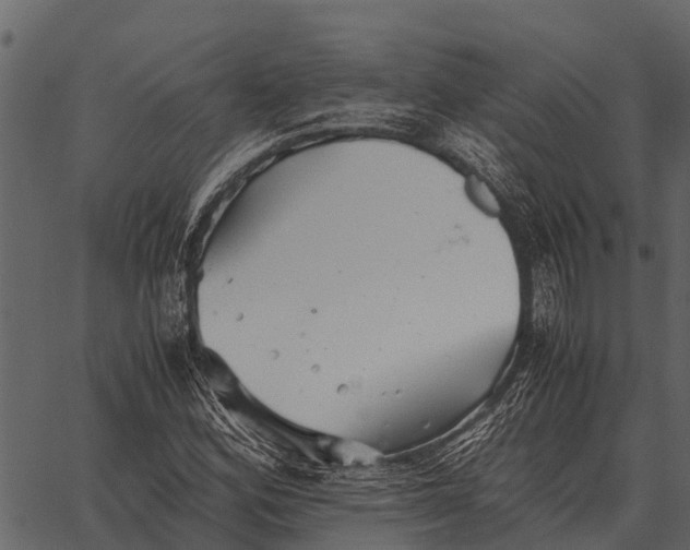 X0000062651164200601111144