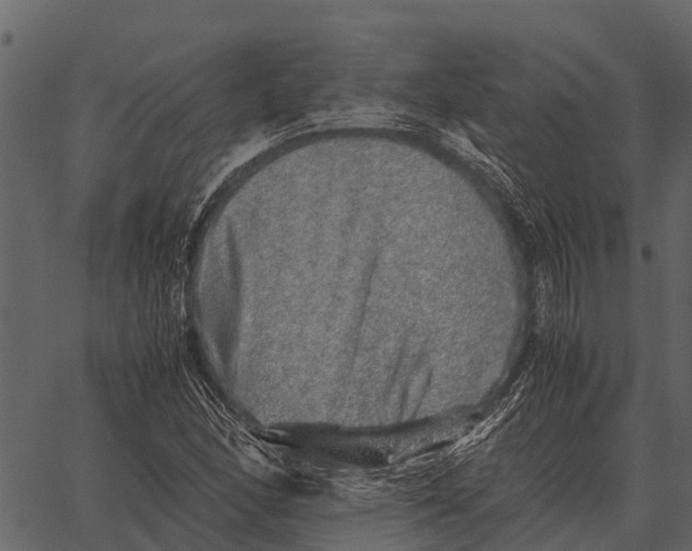 X0000062651166200601111144