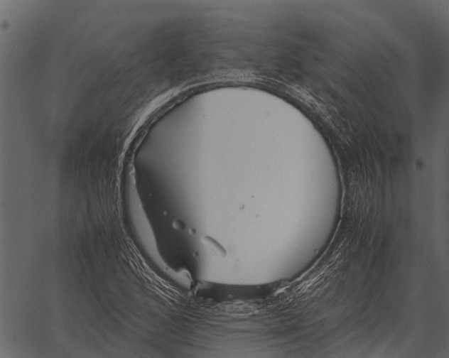 X0000062651168200601111144