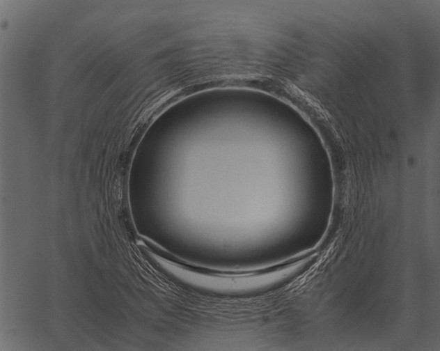 X0000062651169200601111144