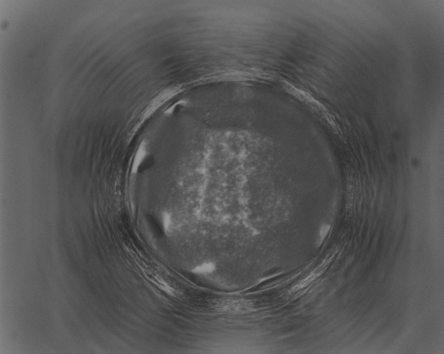 X0000062651170200601111144