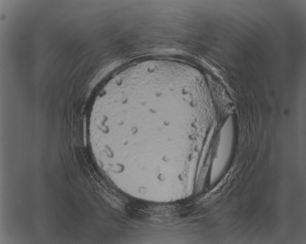 X0000062651171200601111144