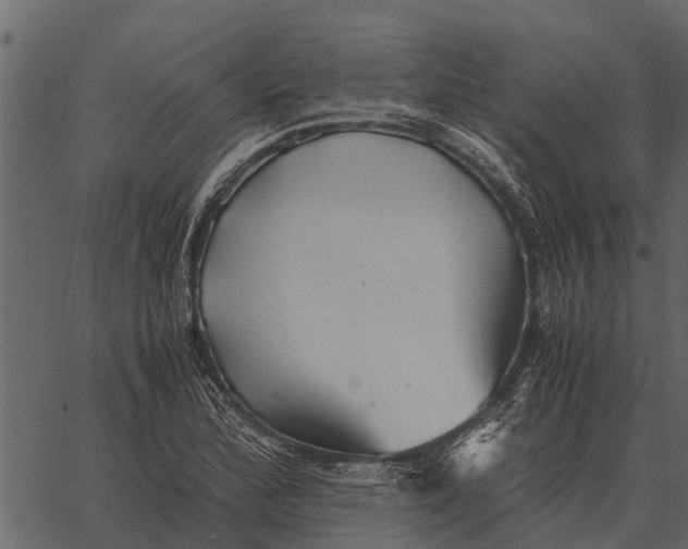 X0000062651172200601111144