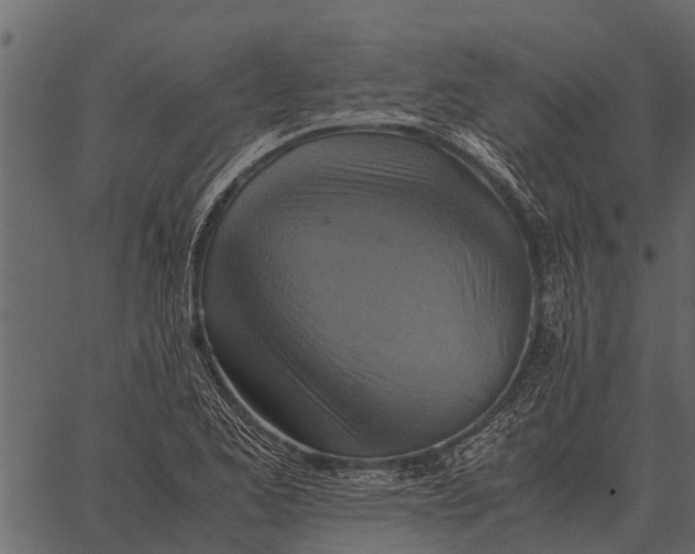 X0000062651173200601111144