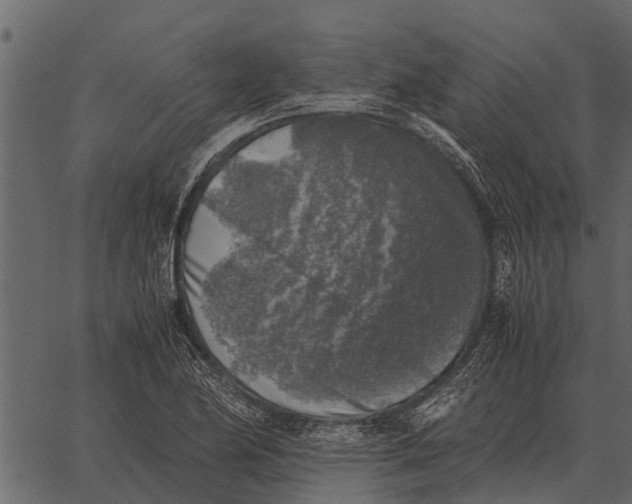 X0000062651174200601111144