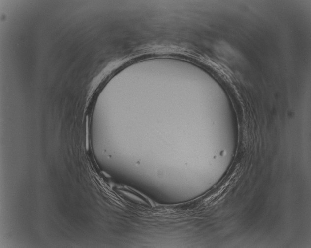 X0000062651175200601111144