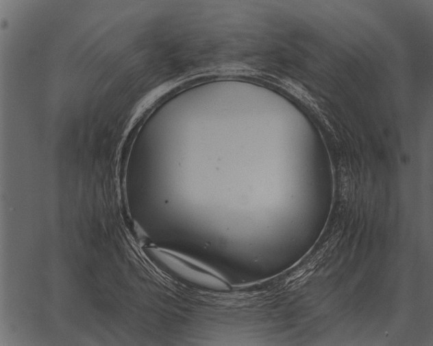 X0000062651176200601111144