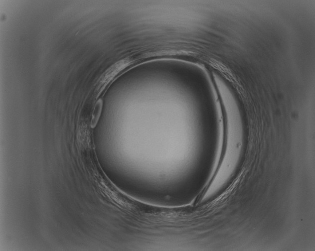 X0000062651177200601111144