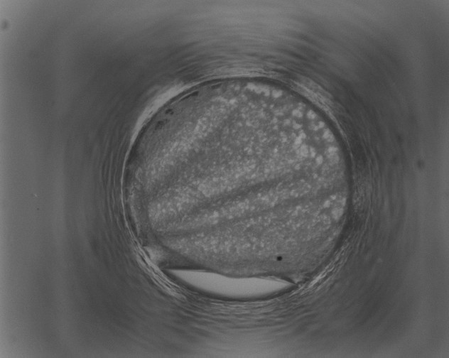 X0000062651179200601111144