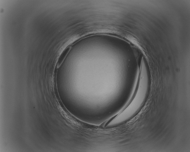 X0000062651181200601111144