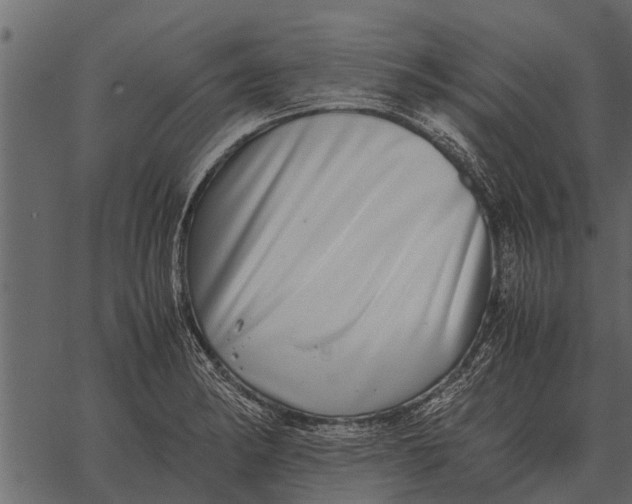 X0000062651182200601111144