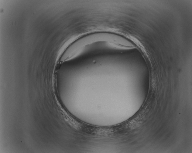 X0000062651183200601111144