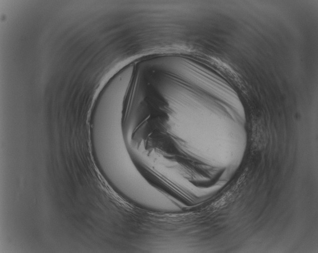 X0000062651184200601111144