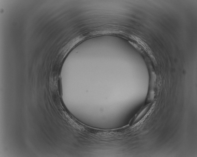 X0000062651185200601111144