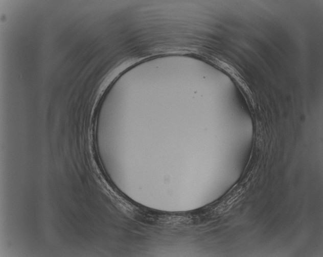 X0000062651187200601111144