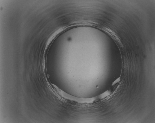 X0000062651188200601111144