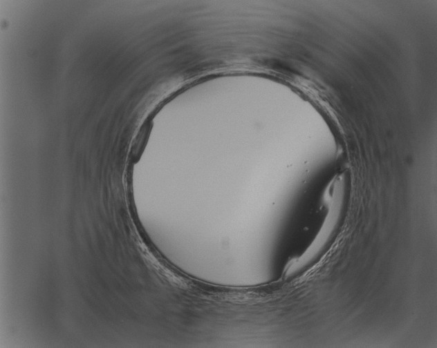 X0000062651189200601111144