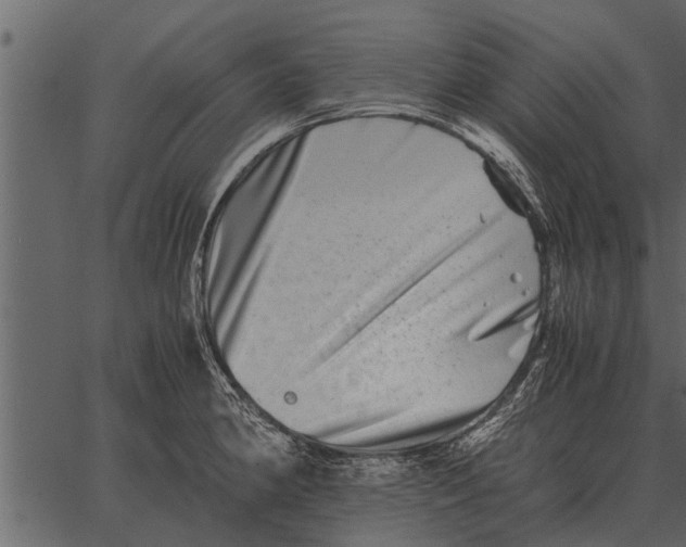 X0000062651190200601111144