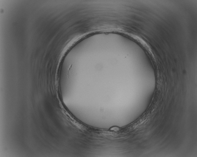 X0000062651191200601111144