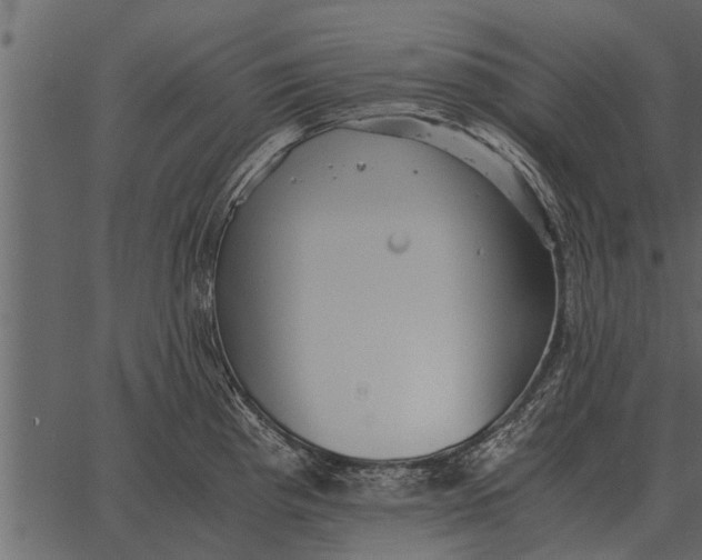 X0000062651193200601111144