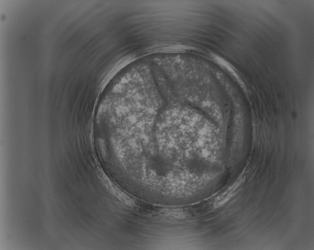 X0000062651194200601111143