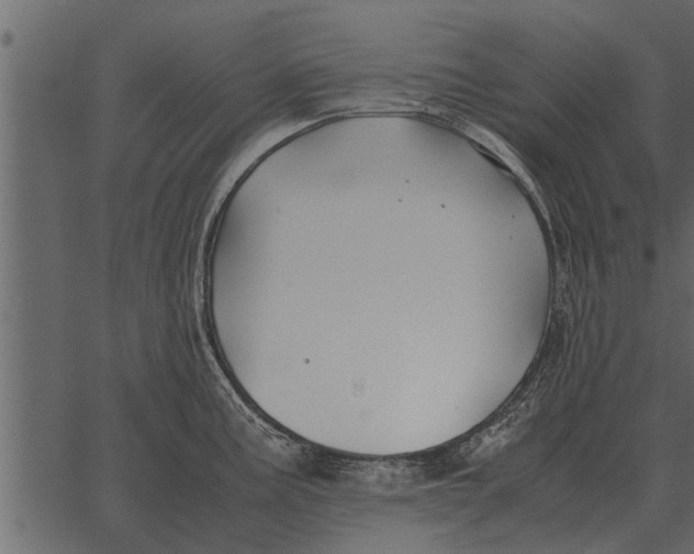 X0000062651195200601111143