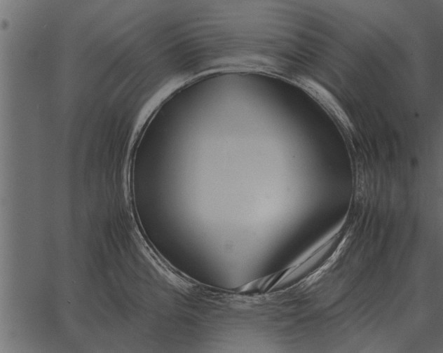 X0000062651196200601111143